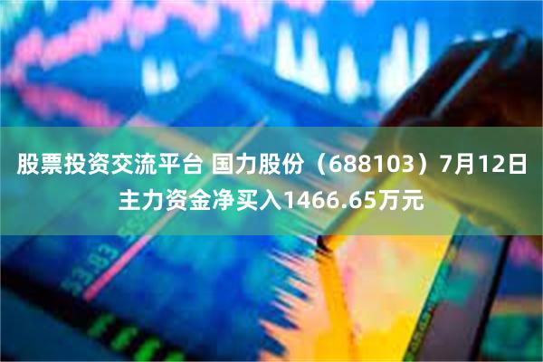 股票投资交流平台 国力股份（688103）7月12日主力资金