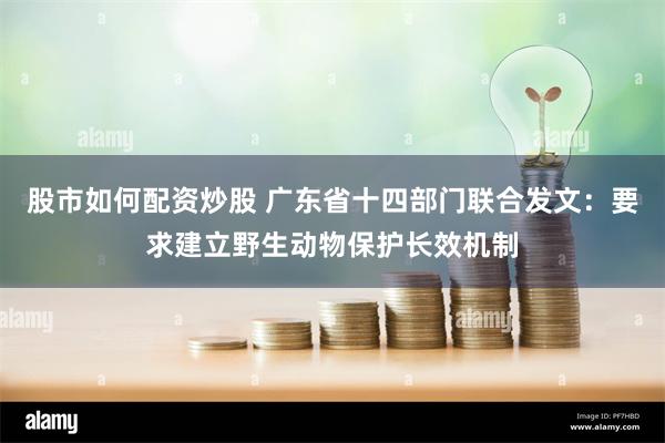 股市如何配资炒股 广东省十四部门联合发文：要求建立野生动物保