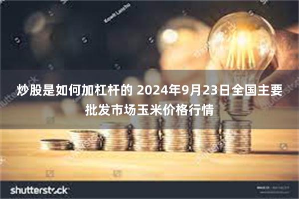 炒股是如何加杠杆的 2024年9月23日全国主要批发市场玉米