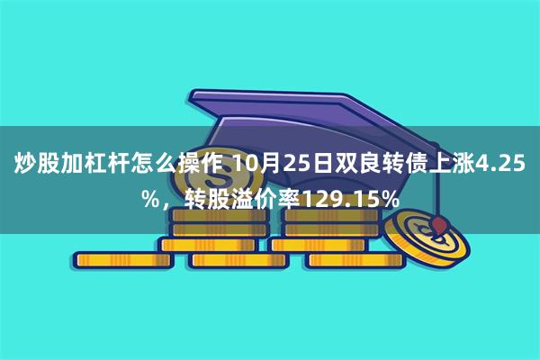 炒股加杠杆怎么操作 10月25日双良转债上涨4.25%，转股