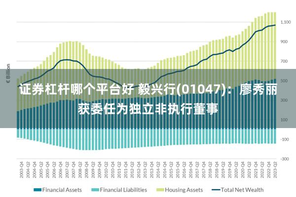 证券杠杆哪个平台好 毅兴行(01047)：廖秀丽获委任为独立