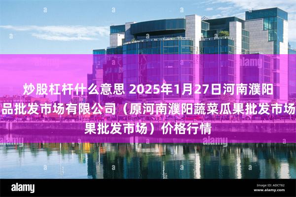 炒股杠杆什么意思 2025年1月27日河南濮阳宏进农副产品批