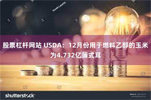 股票杠杆网站 USDA：12月份用于燃料乙醇的玉米为4.73