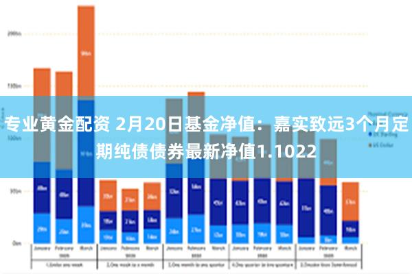 专业黄金配资 2月20日基金净值：嘉实致远3个月定期纯债债券